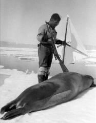 Kayak &amp; Oog Jook [sic] spring seal hunting